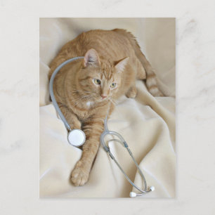 Kätzchen wird gut Postkarte