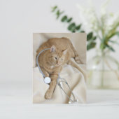 Kätzchen wird gut Postkarte (Stehend Vorderseite)