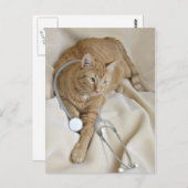 Kätzchen wird gut Postkarte (Vorne/Hinten)