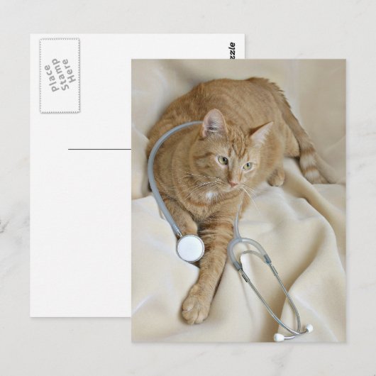 Kätzchen wird gut Postkarte (Vorne/Hinten)