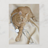 Kätzchen wird gut Postkarte (Vorderseite)