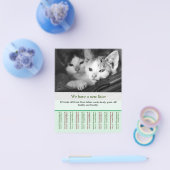 Kätzchen zum Verkauf Flyer Vorlagen (Einzeln)