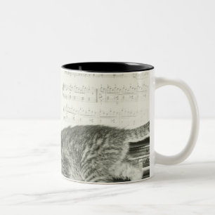 Kätzchen zwei, das auf Klaviertastatur spielt, Zweifarbige Tasse