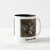 Kätzchen Zweifarbige Tasse (VorderseiteRechts)