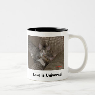 Kätzchen Zweifarbige Tasse