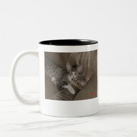 Kätzchen Zweifarbige Tasse (Links)