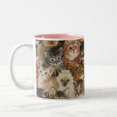 Kätzchen Zweifarbige Tasse (Links)