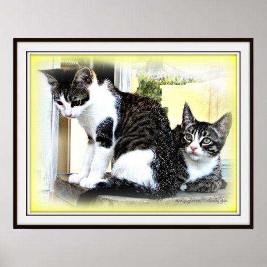 Kätzchenbesteck Poster (Vorne)