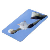 Kätzchenfrühling Magnet (Linke Seite)