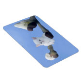 Kätzchenfrühling Magnet (Rechte Seite)