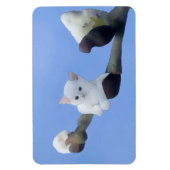 Kätzchenfrühling Magnet (Vertikal)