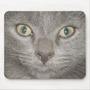 Kätzchengesicht2 mousepad-grau mousepad