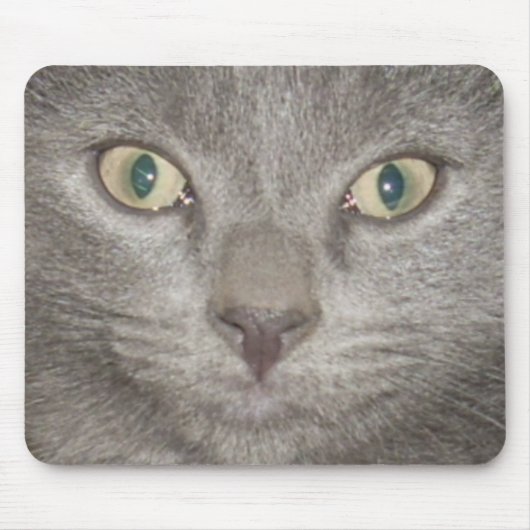 Kätzchengesicht2 mousepad-grau mousepad (Vorne)