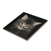 Kätzchengesicht Fliese (Seite)