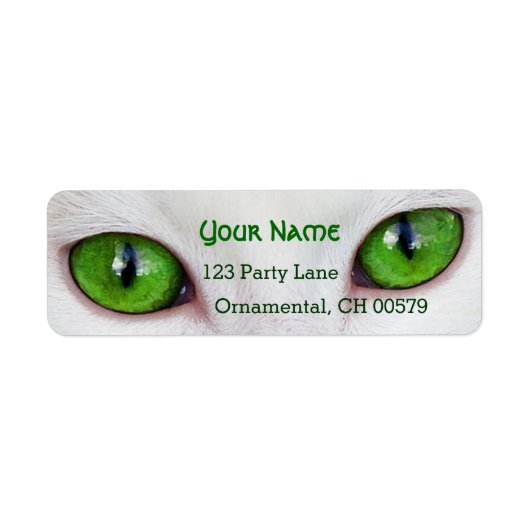 Kätzchengrüne Augen (Vorne)