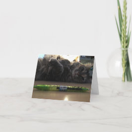 Kätzchennotecard #2 karte