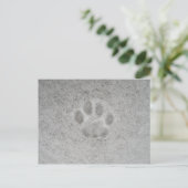 Kätzchenpaardruck im Schnee Postkarte (Stehend Vorderseite)
