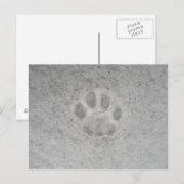 Kätzchenpaardruck im Schnee Postkarte (Vorne/Hinten)