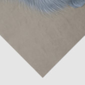 Kätzchenpapier Seidenpapier (Detail)