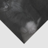 Kätzchenpapier Seidenpapier (Detail)