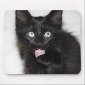 Kätzchenreinigungspuppe Mauspad (Vorne)