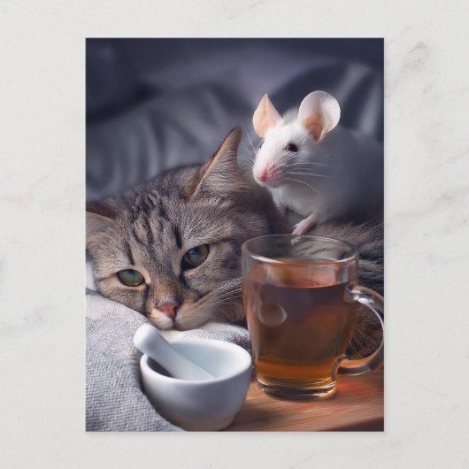 Kätzchenruhe im Bett Postkarte (Vorderseite)