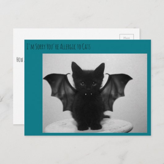 Kätzchenschläger Postkarte (Vorne/Hinten)