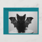 Kätzchenschläger Postkarte (Vorderseite)