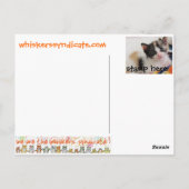 Kätzchenspielzeug-Katzenpostkarte der Bärte Postkarte (Rückseite)