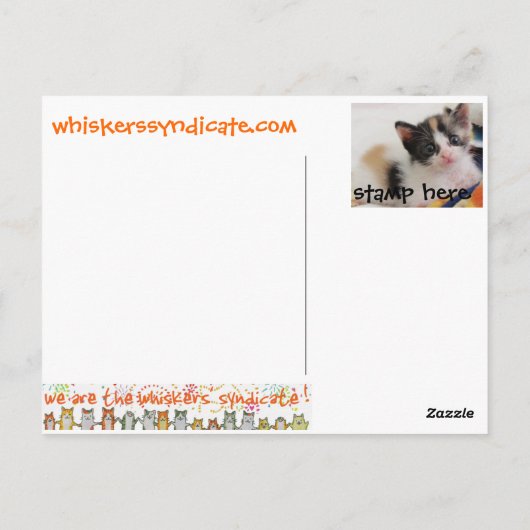 Kätzchenspielzeug-Katzenpostkarte der Bärte Postkarte (Rückseite)