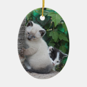 Kätzchenverzierung Keramik Ornament