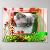 Katze1 für Lilo Poster (Vorne)