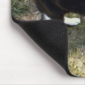 Katze 10, Maus-Pad Mousepad (Ecke)