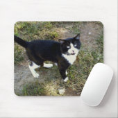 Katze 10, Maus-Pad Mousepad (Mit Mouse)