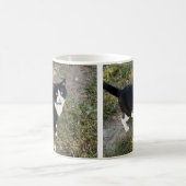 Katze 10, Tasse (Mittel)