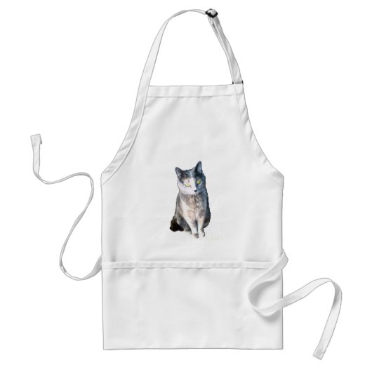 Katze 11, Schürze (Vorne)