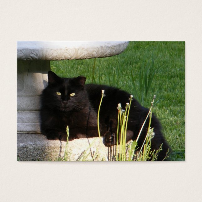 Katze 120 ~ ATC (Vorderseite)