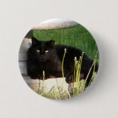 Katze 120 ~ Knopf Button (Vorderseite)