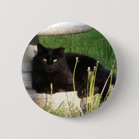 Katze 120 ~ Knopf Button (Vorderseite)