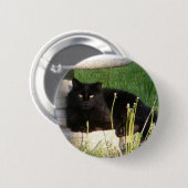 Katze 120 ~ Knopf Button (Vorne & Hinten)