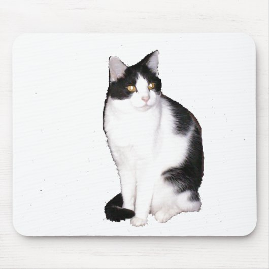 Katze 12, Maus-Pad Mousepad (Vorne)