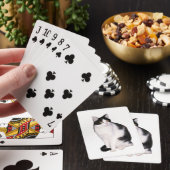 Katze 12 Spielkarten (In Situ)