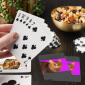Katze 14 Spielkarten (In Situ)