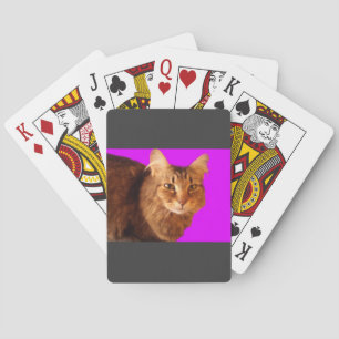 Katze 14 Spielkarten