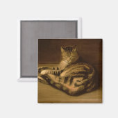 Katze, 1898 magnet (Vorderseite/Rückseite)