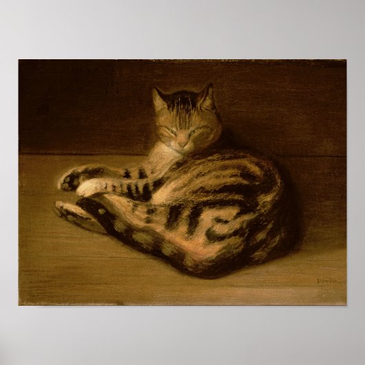 Katze, 1898 poster (Vorne)