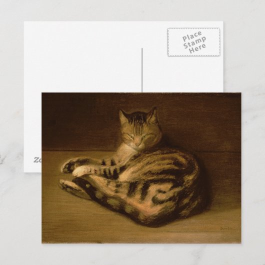 Katze, 1898 postkarte (Vorne/Hinten)