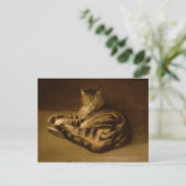 Katze, 1898 postkarte (Stehend Vorderseite)