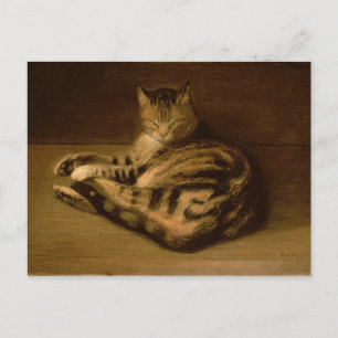 Katze, 1898 postkarte