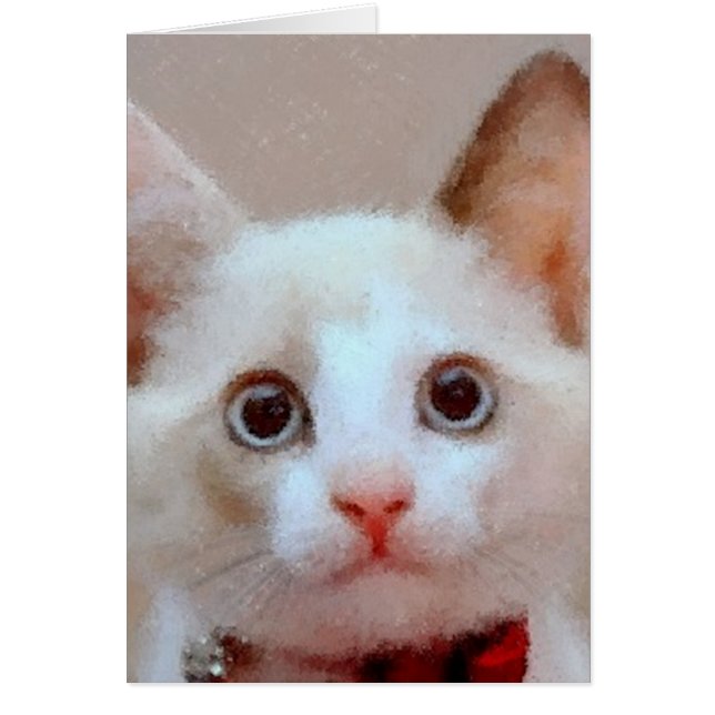 Katze 3 (Vorne)
